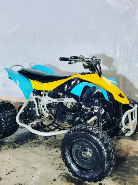 2013 Can-am DS 450